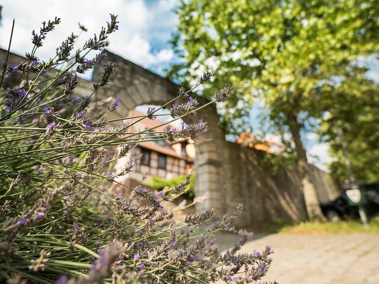 Gaestehaus Moenchshof Sommerhausen Exteriér fotografie